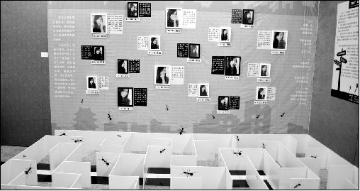 大学生拍现实版蚁族生活